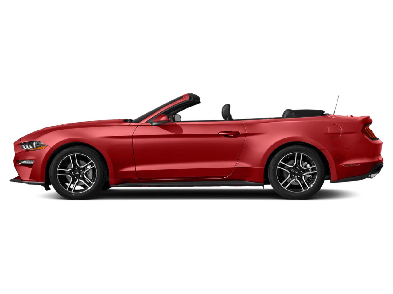 2019 Ford Mustang Vehicle Photo in St. Petersburg, FL 33713