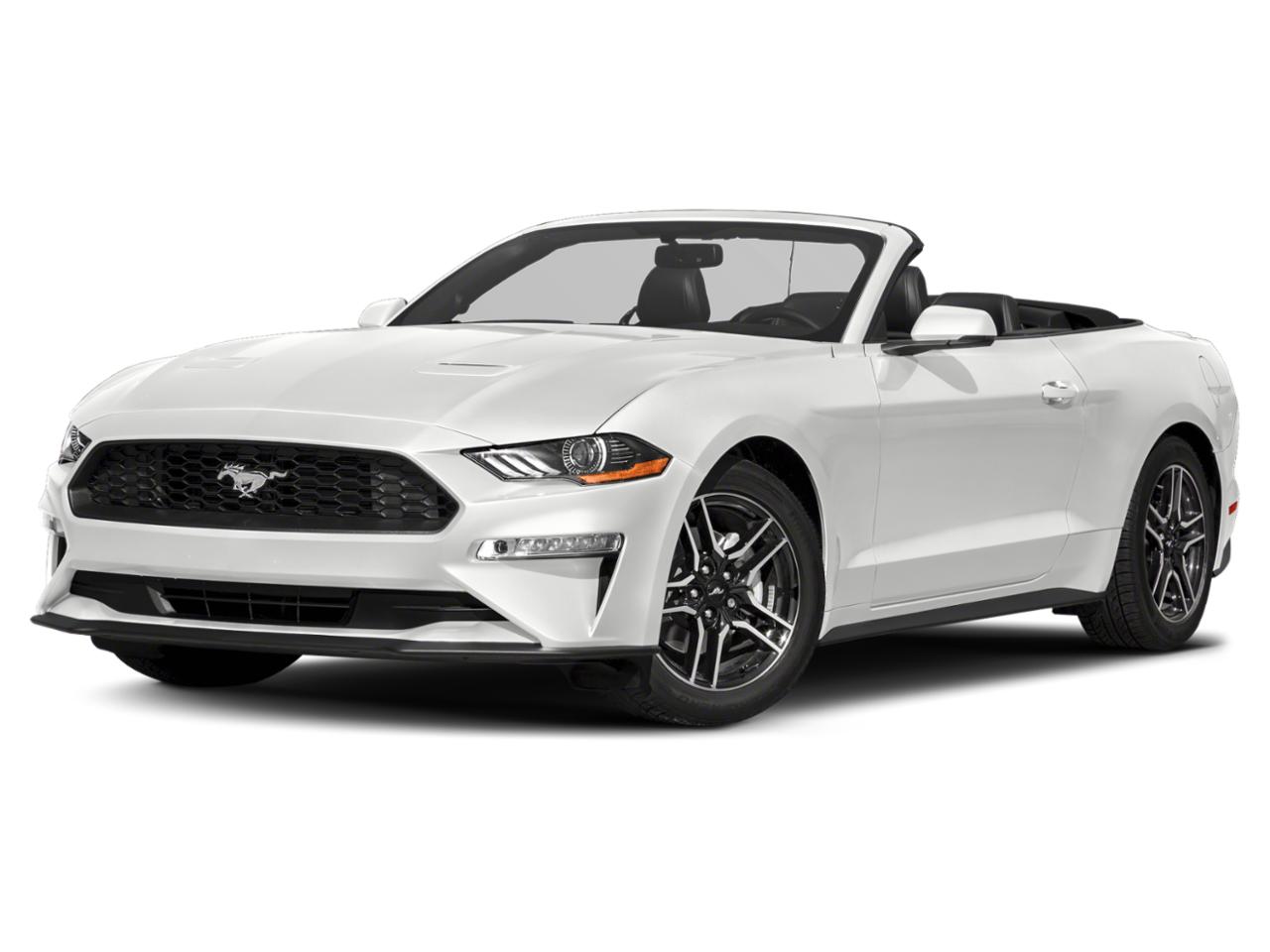 2019 Ford Mustang Vehicle Photo in MEDINA, OH 44256-9631