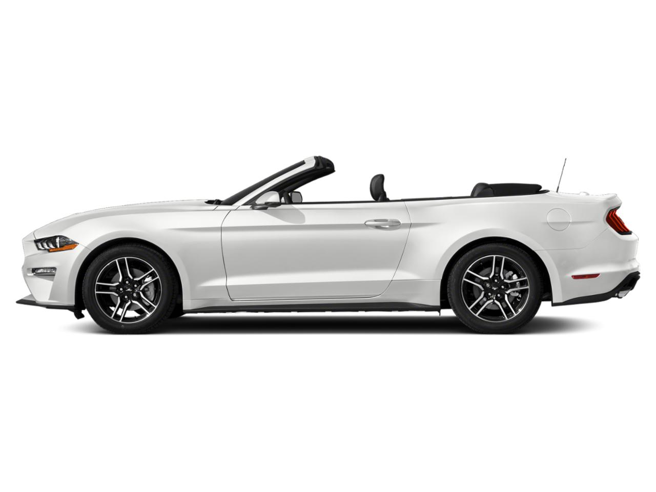 2019 Ford Mustang Vehicle Photo in MEDINA, OH 44256-9631