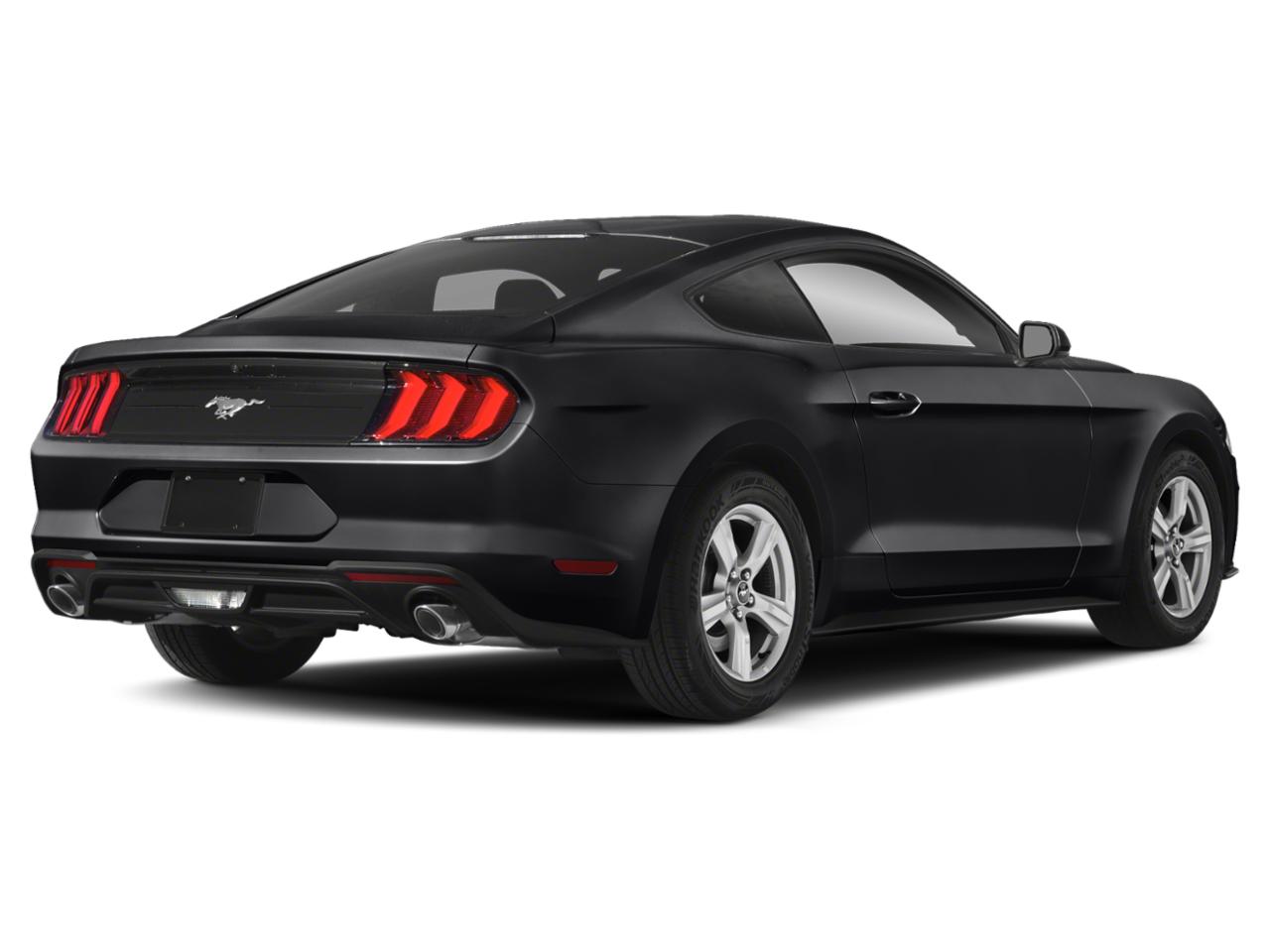 2019 Ford Mustang Vehicle Photo in Corpus Christi, TX 78415