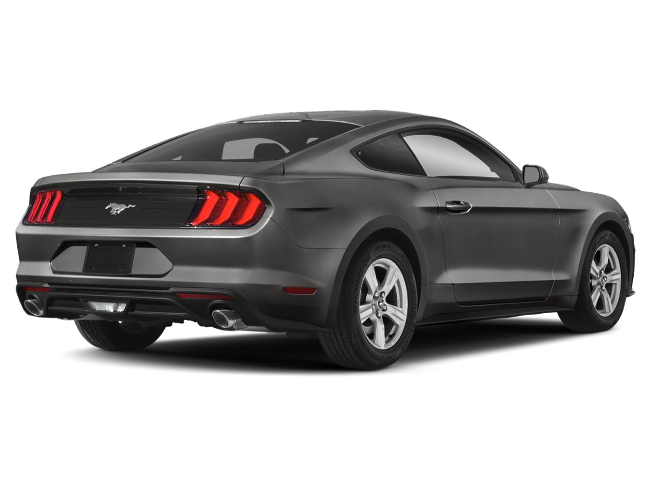 2019 Ford Mustang Vehicle Photo in Margate, FL 33063
