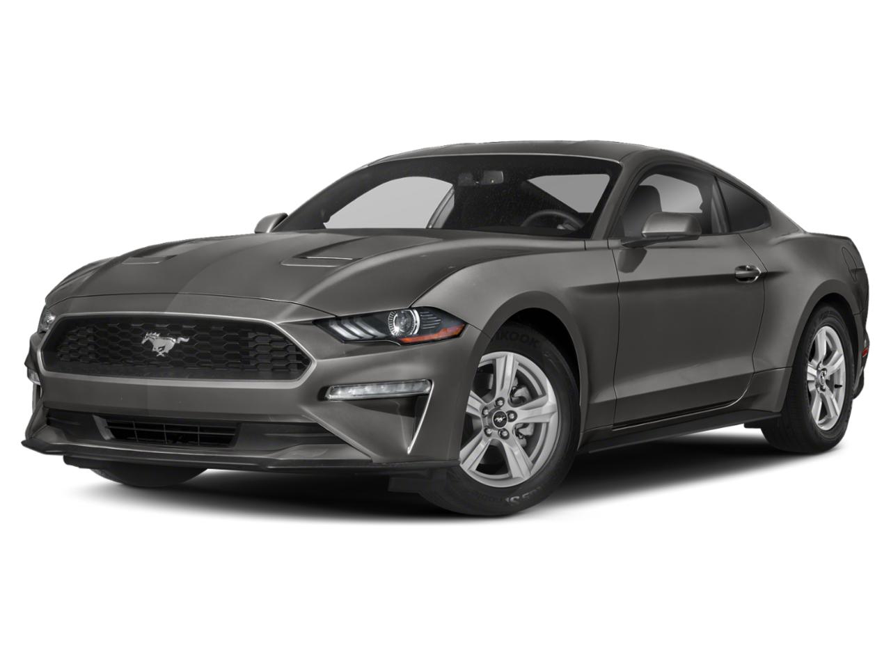 2019 Ford Mustang Vehicle Photo in Margate, FL 33063