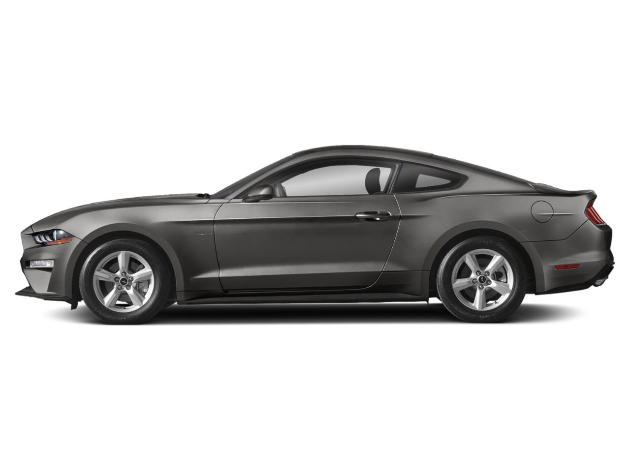 2019 Ford Mustang Vehicle Photo in Margate, FL 33063