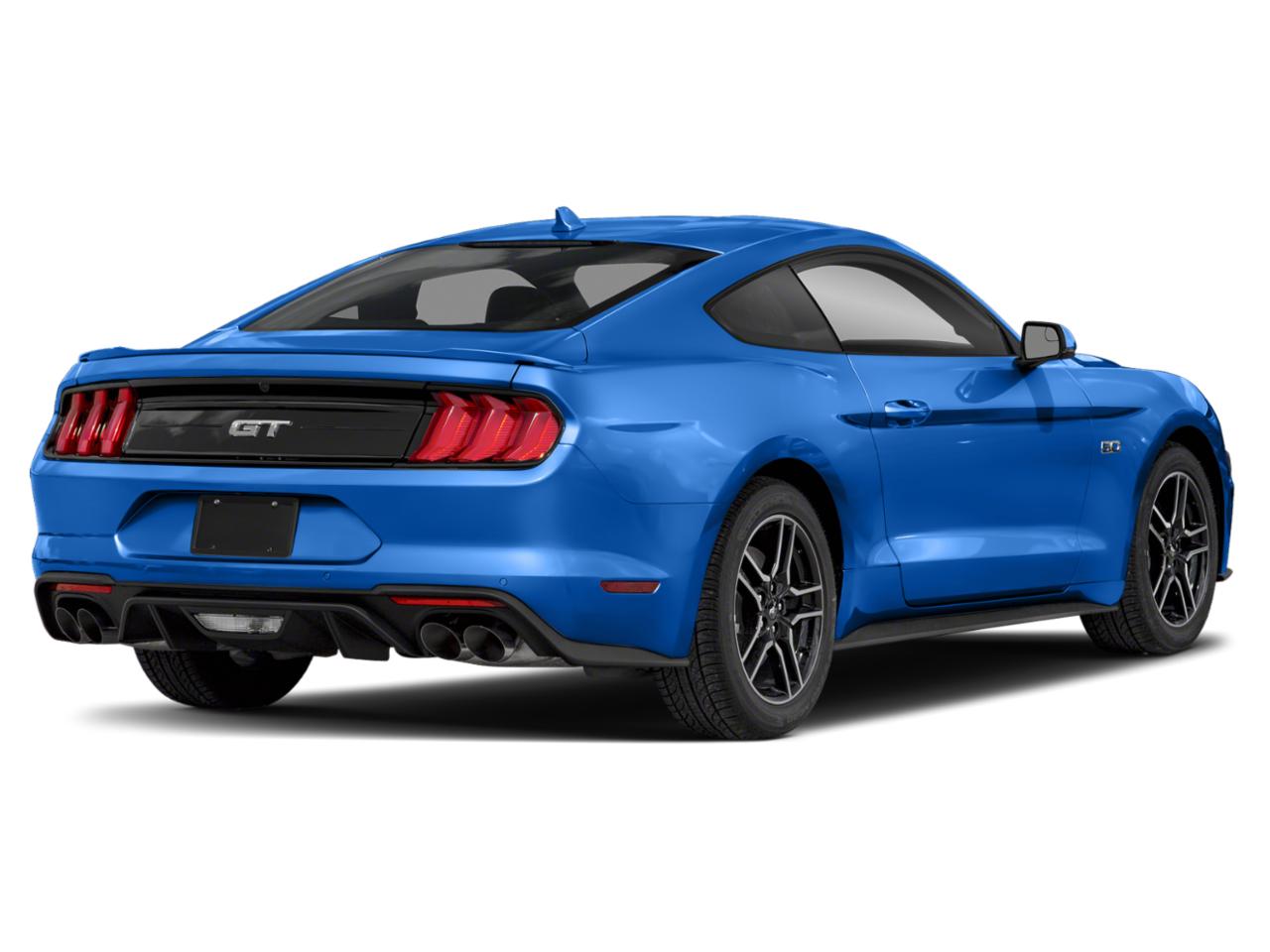 2019 Ford Mustang Vehicle Photo in Jacksonville, FL 32244