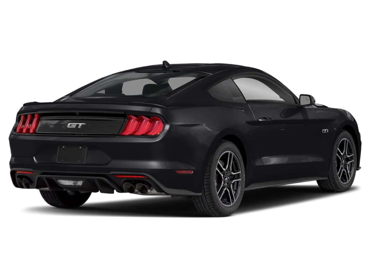 2019 Ford Mustang Vehicle Photo in Margate, FL 33063