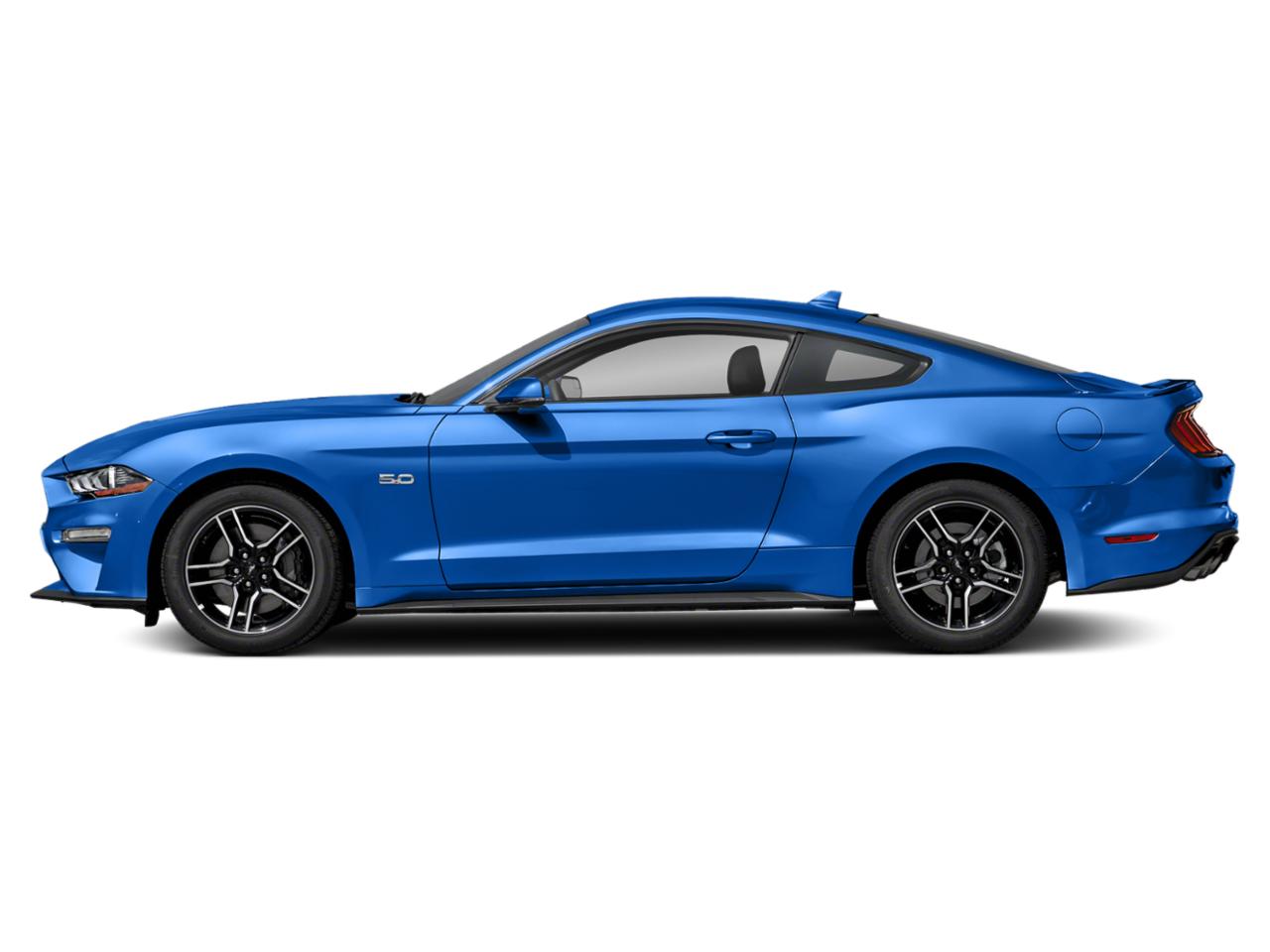 2019 Ford Mustang Vehicle Photo in Jacksonville, FL 32244