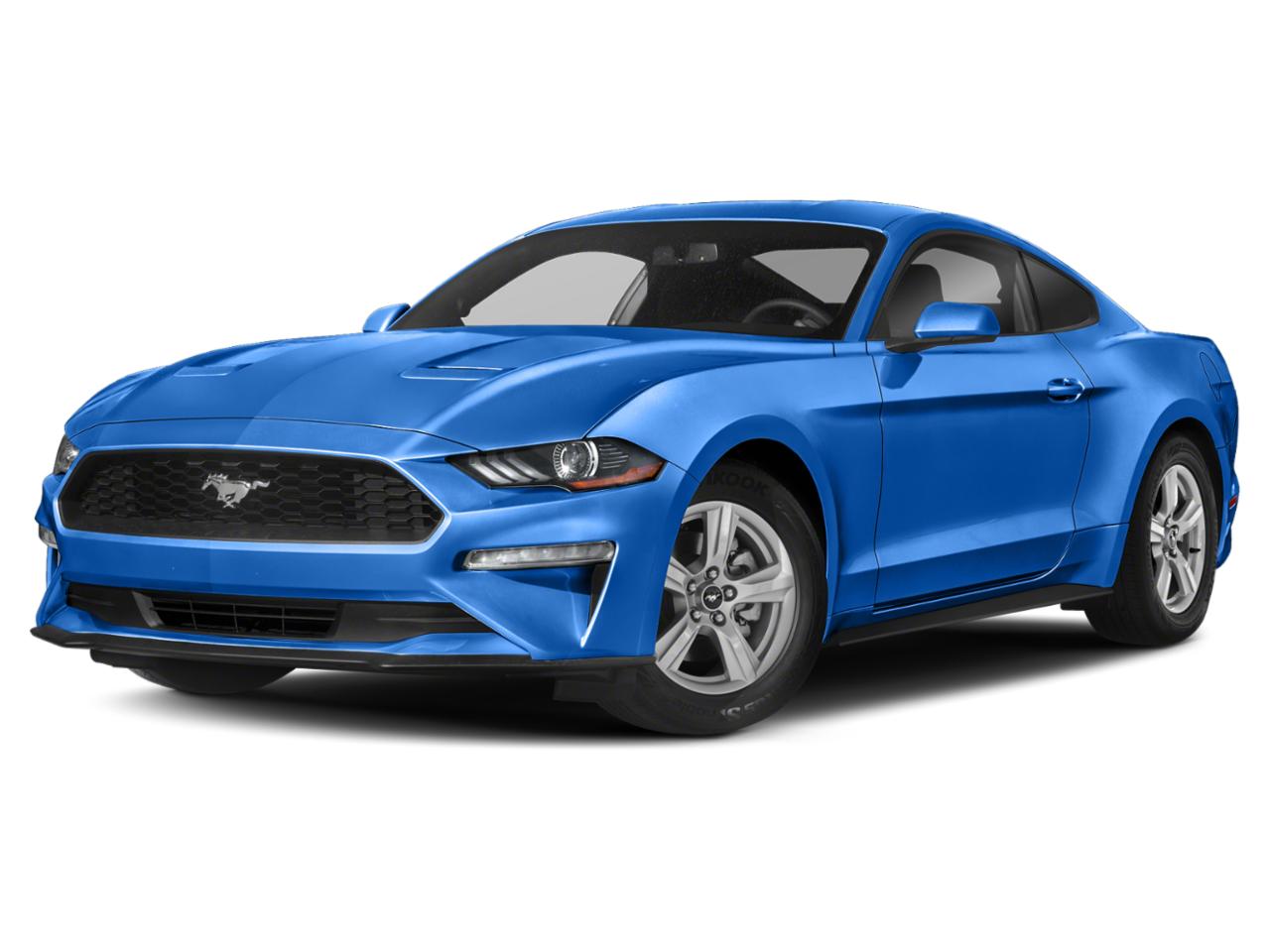 2019 Ford Mustang Vehicle Photo in Pinellas Park , FL 33781