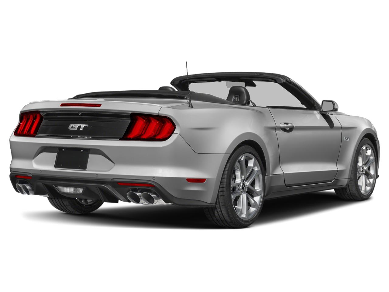 2019 Ford Mustang Vehicle Photo in Clearwater, FL 33764