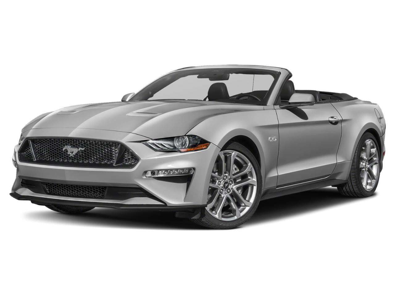 2019 Ford Mustang Vehicle Photo in Clearwater, FL 33764