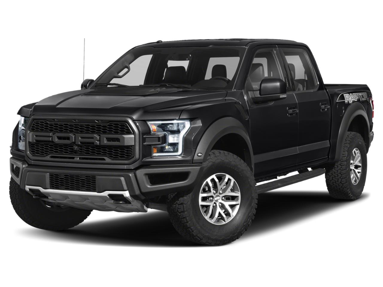 2019 Ford F-150 Vehicle Photo in JASPER, GA 30143-8655