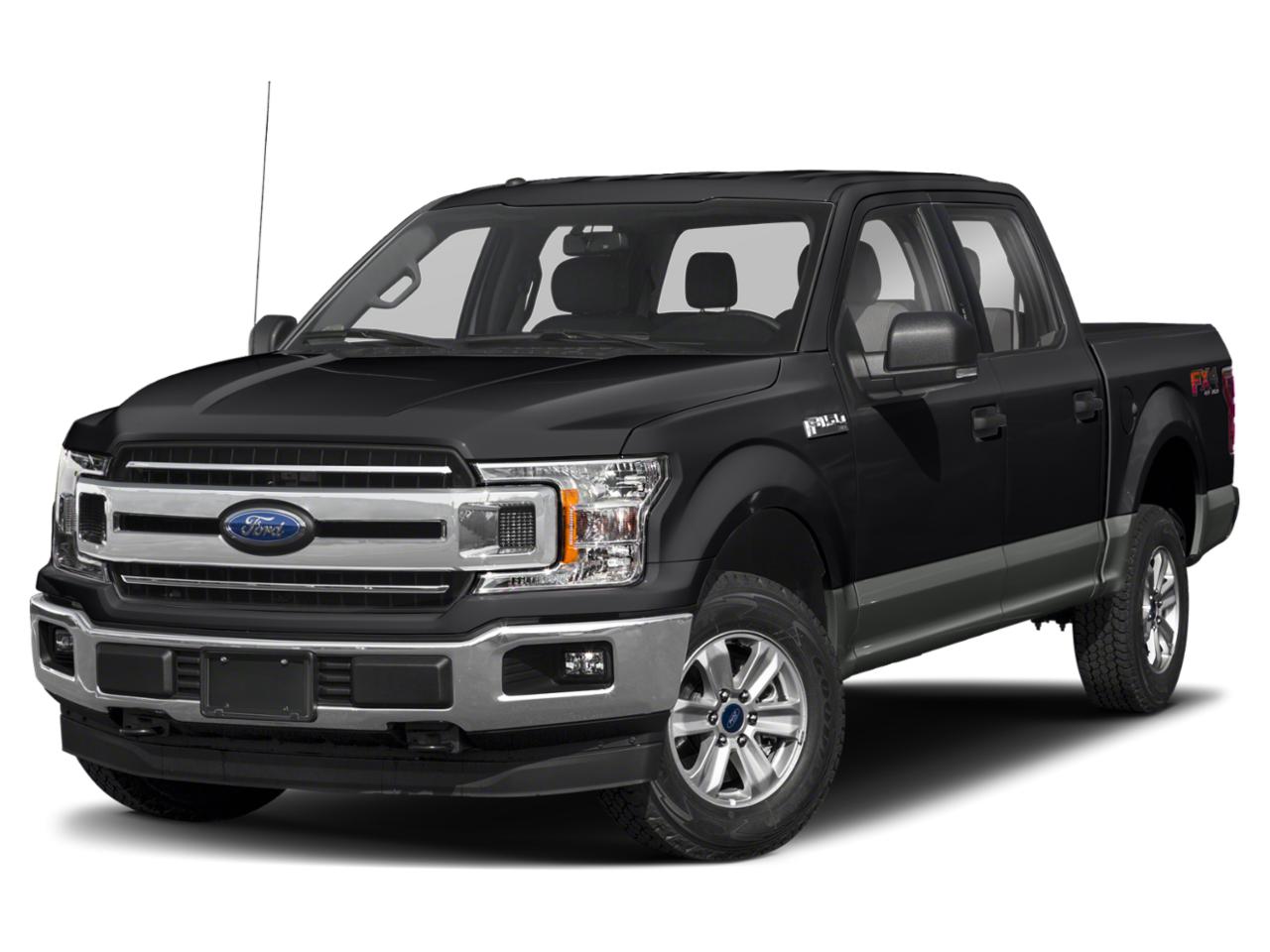 2019 Ford F-150 Vehicle Photo in Panama City, FL 32401