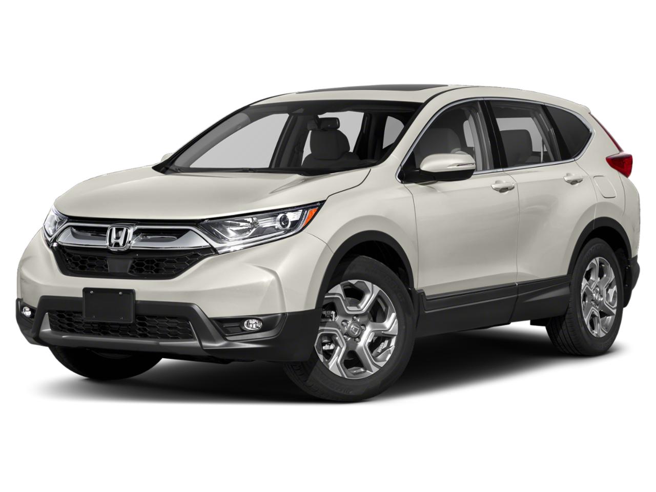 2019 Honda CR-V Vehicle Photo in Hollywood, FL 33021