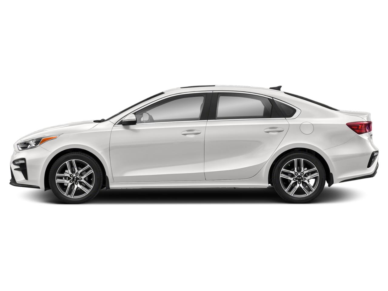 2019 Kia Forte Vehicle Photo in Peoria, IL 61615