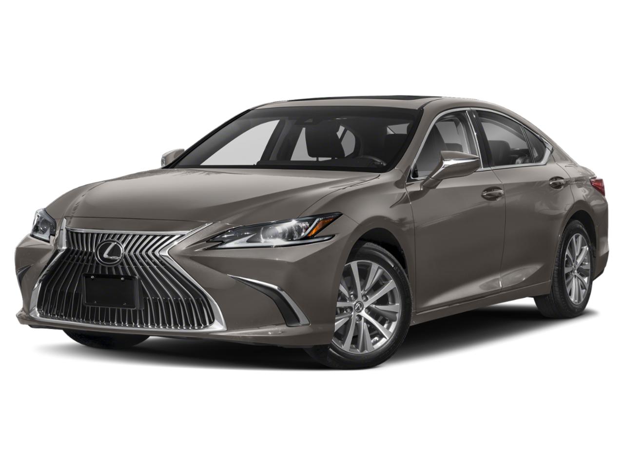 2019 Lexus ES 350 Vehicle Photo in Sarasota, FL 34231