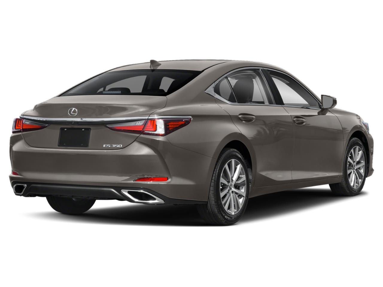 2019 Lexus ES 350 Vehicle Photo in Grapevine, TX 76051