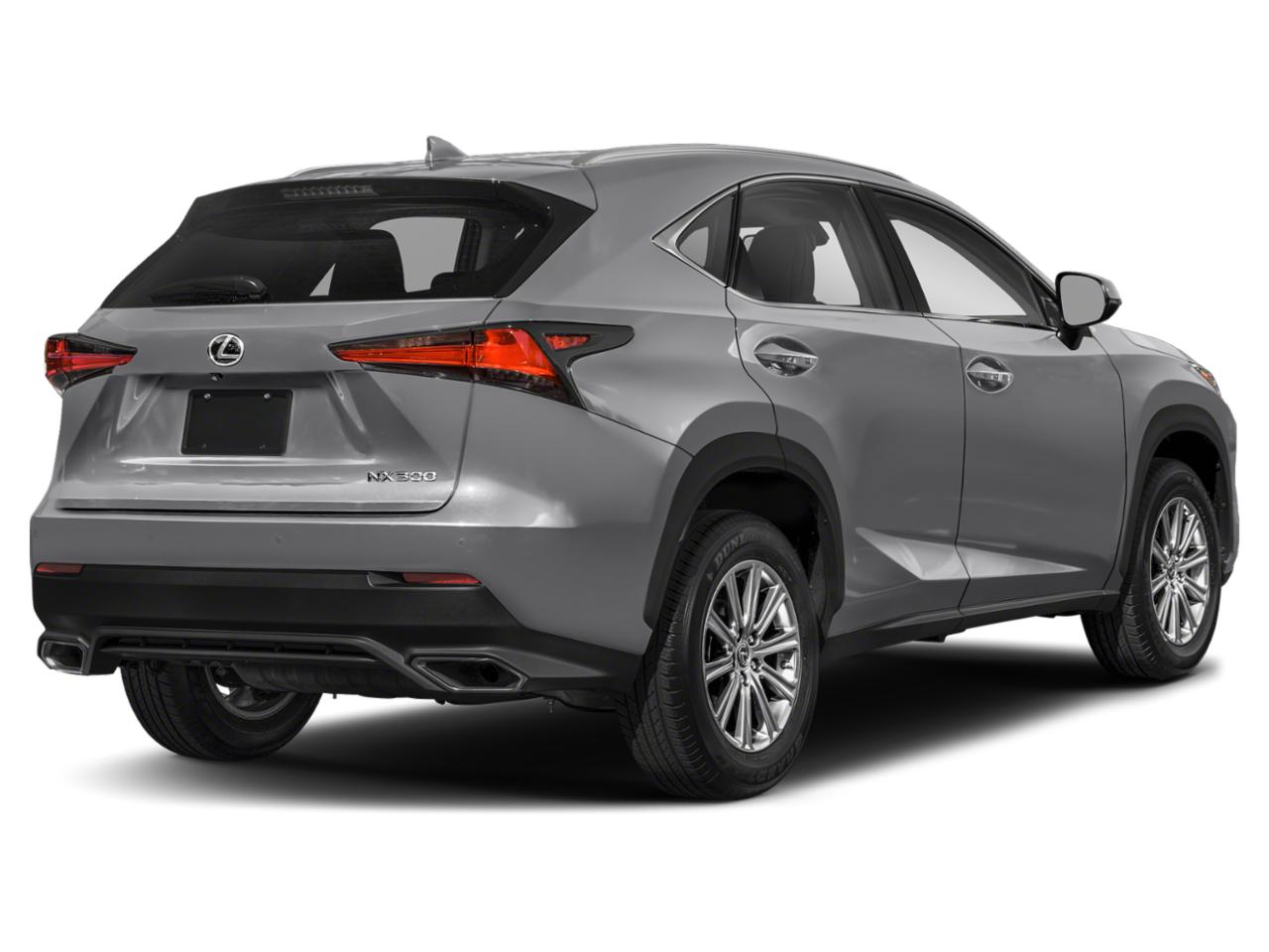 2019 Lexus NX 300 Vehicle Photo in Houston, TX 77007