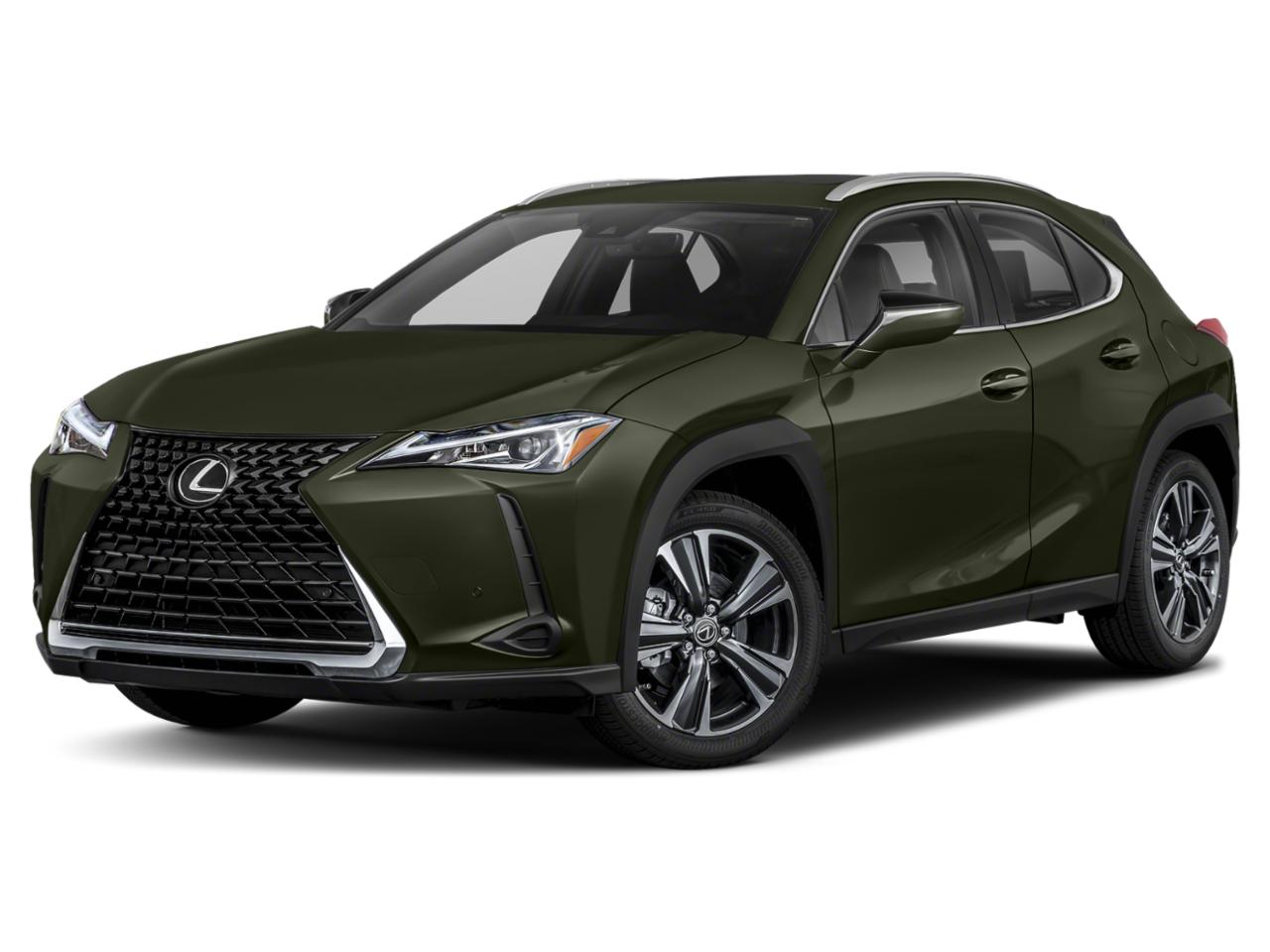 2019 Lexus UX 200 Vehicle Photo in LEWES, DE 19958-4935