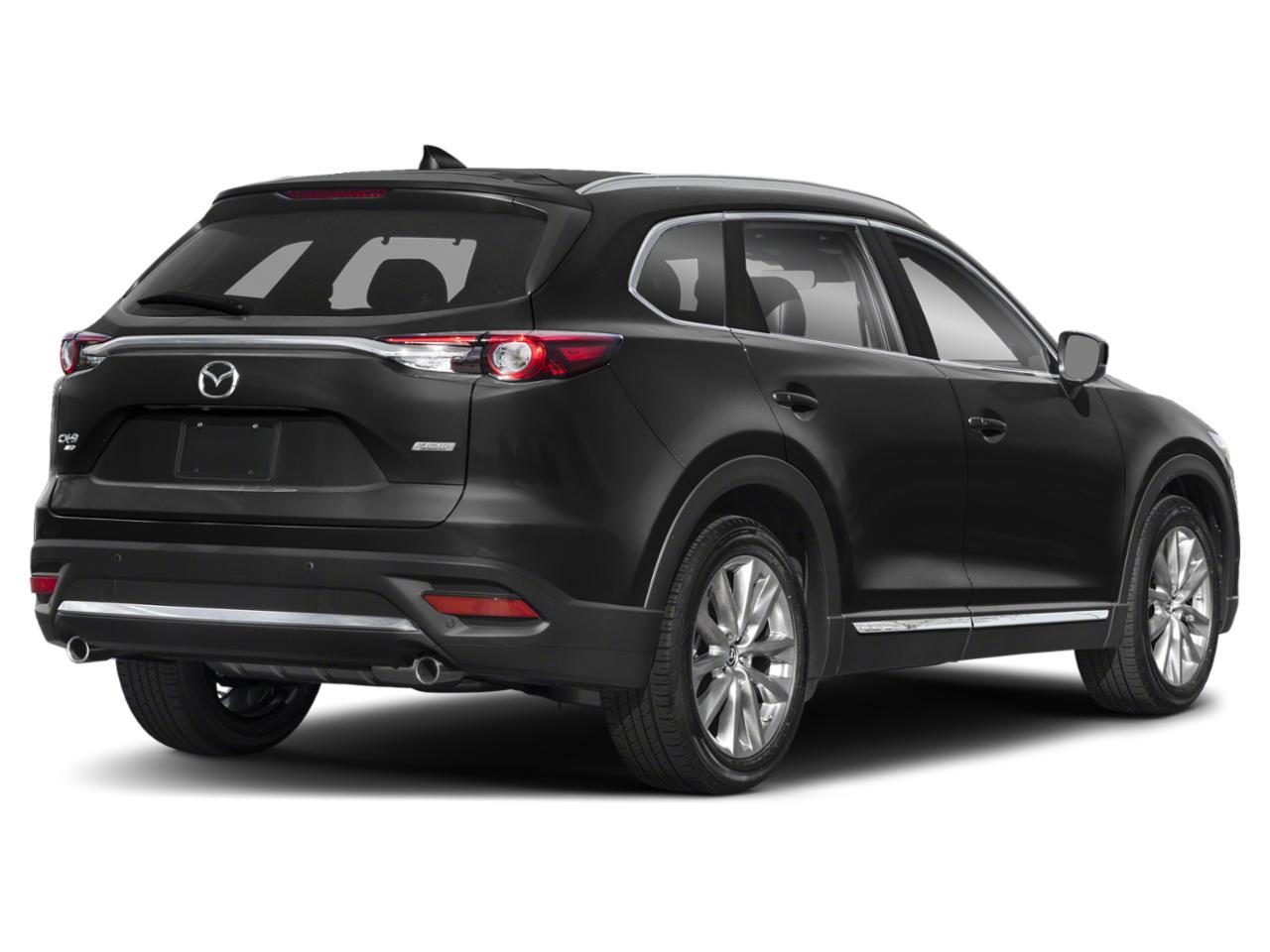 2019 Mazda CX-9 Vehicle Photo in Appleton, WI 54913