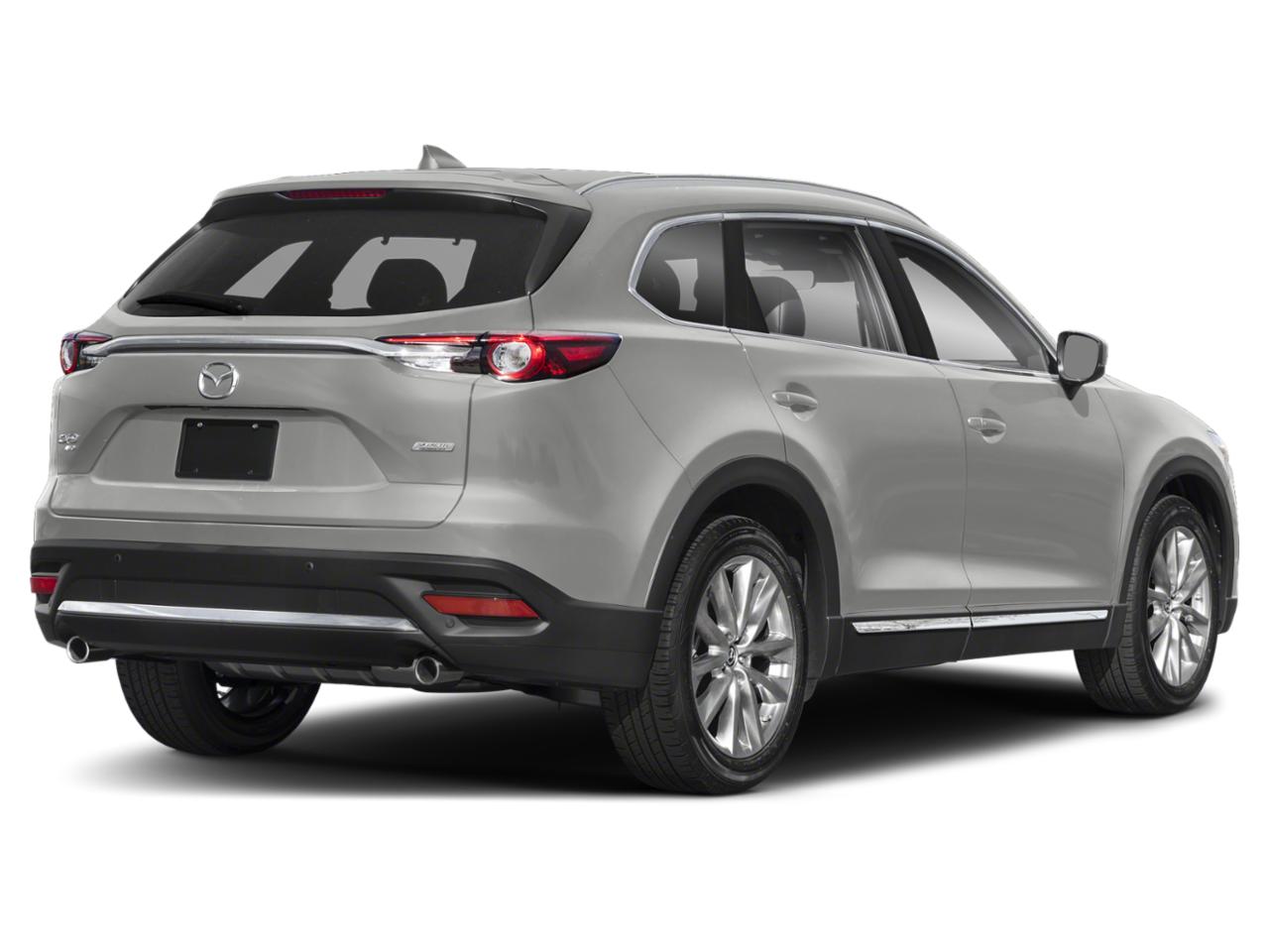 2019 Mazda CX-9 Vehicle Photo in Louisville, KY 40505