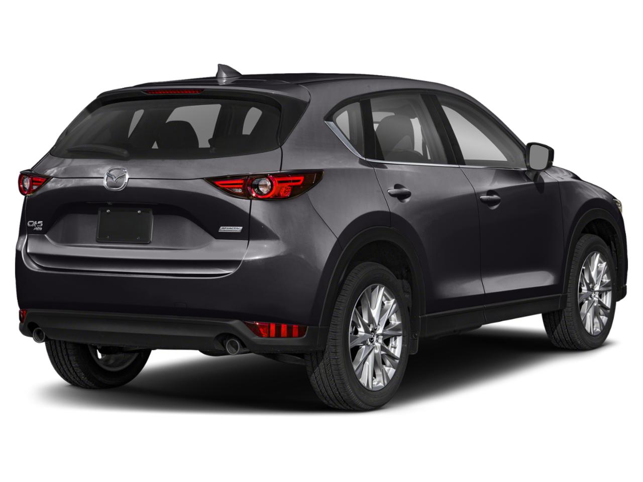 2019 Mazda CX-5 Vehicle Photo in Panama City, FL 32401