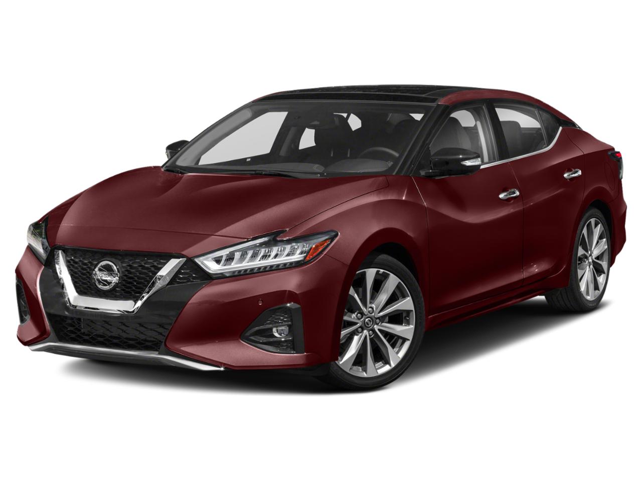 2019 Nissan Maxima Vehicle Photo in Hinesville, GA 31313