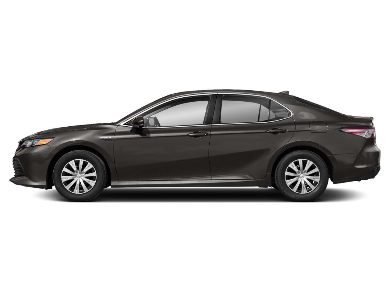 2019 Toyota Camry Vehicle Photo in Flemington, NJ 08822