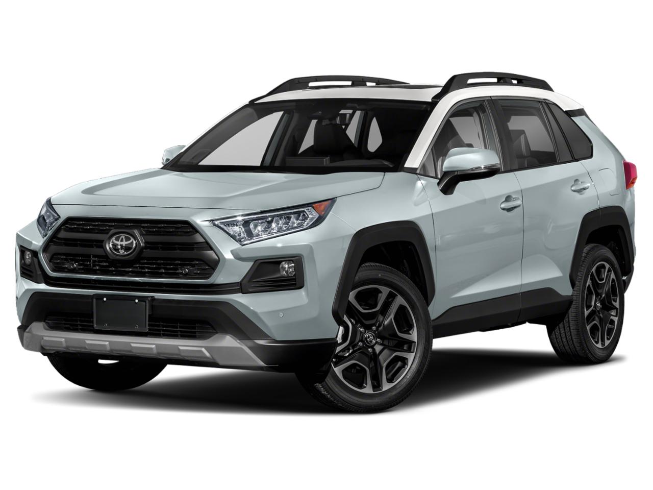 2019 Toyota RAV4 Vehicle Photo in Winter Park, FL 32792