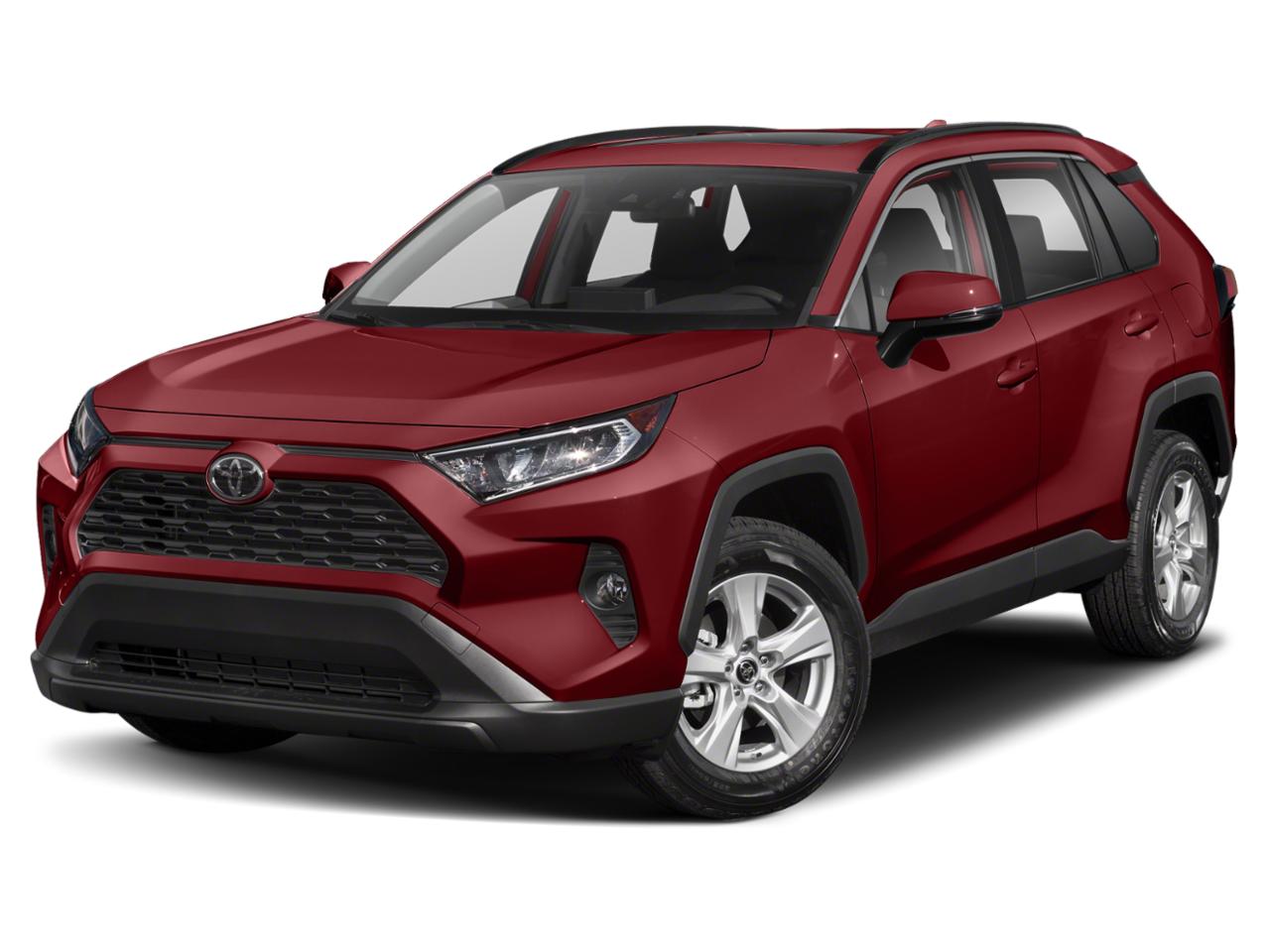 2019 Toyota RAV4 Vehicle Photo in Hollywood, FL 33021