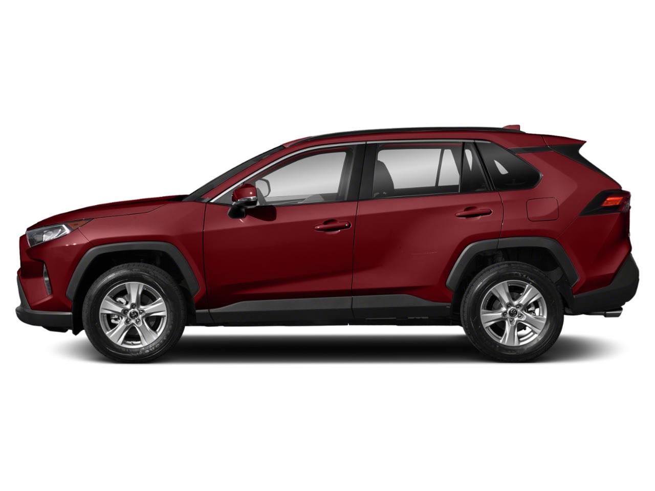 2019 Toyota RAV4 Vehicle Photo in Hollywood, FL 33021