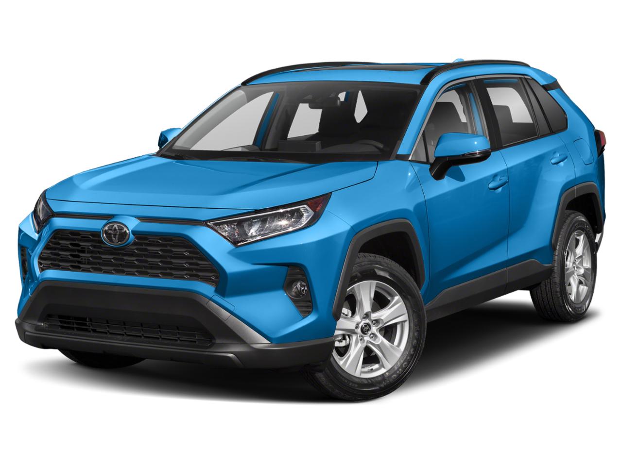 2019 Toyota RAV4 Vehicle Photo in Pinellas Park , FL 33781