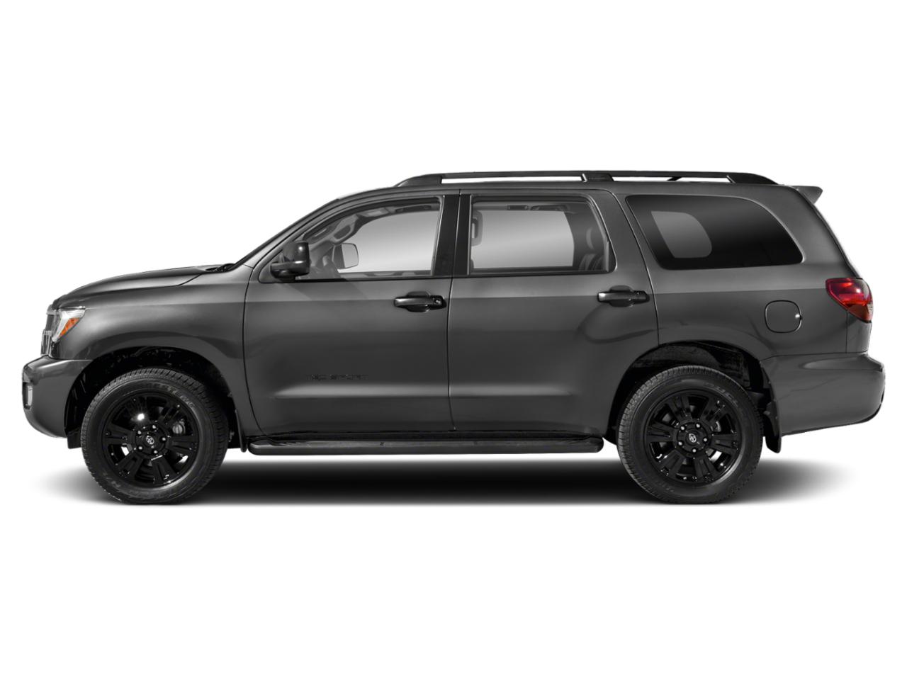 2019 Toyota Sequoia Vehicle Photo in Tampa, FL 33614