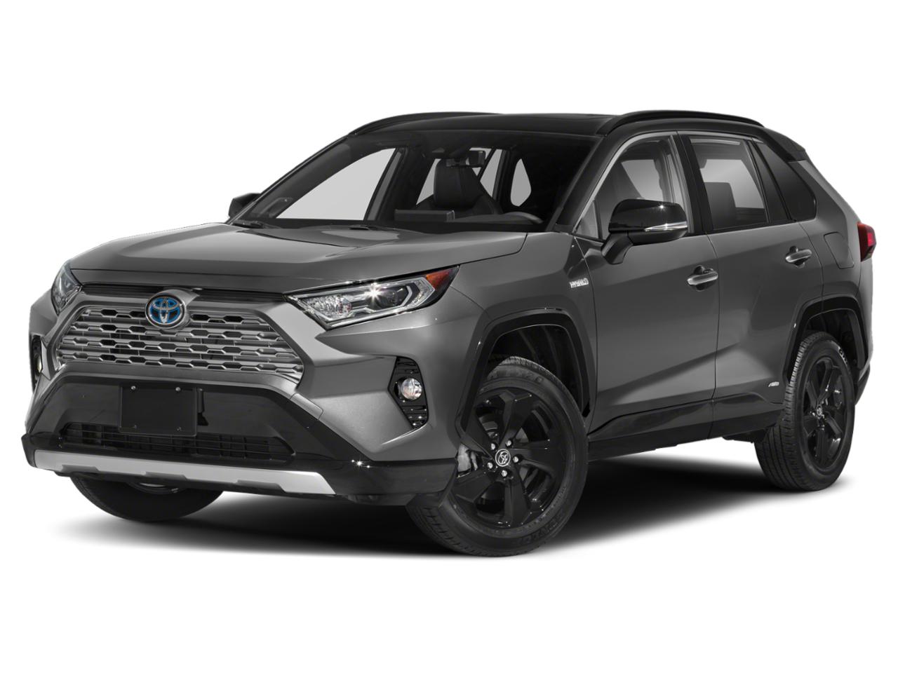 2019 Toyota RAV4 Vehicle Photo in Tustin, CA 92782