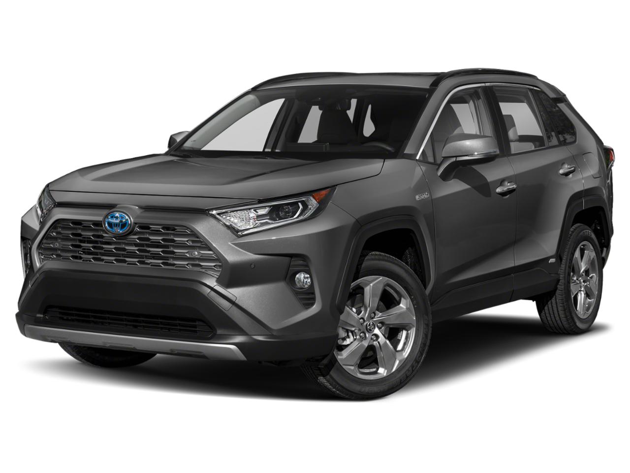 2019 Toyota RAV4 Vehicle Photo in Pinellas Park , FL 33781