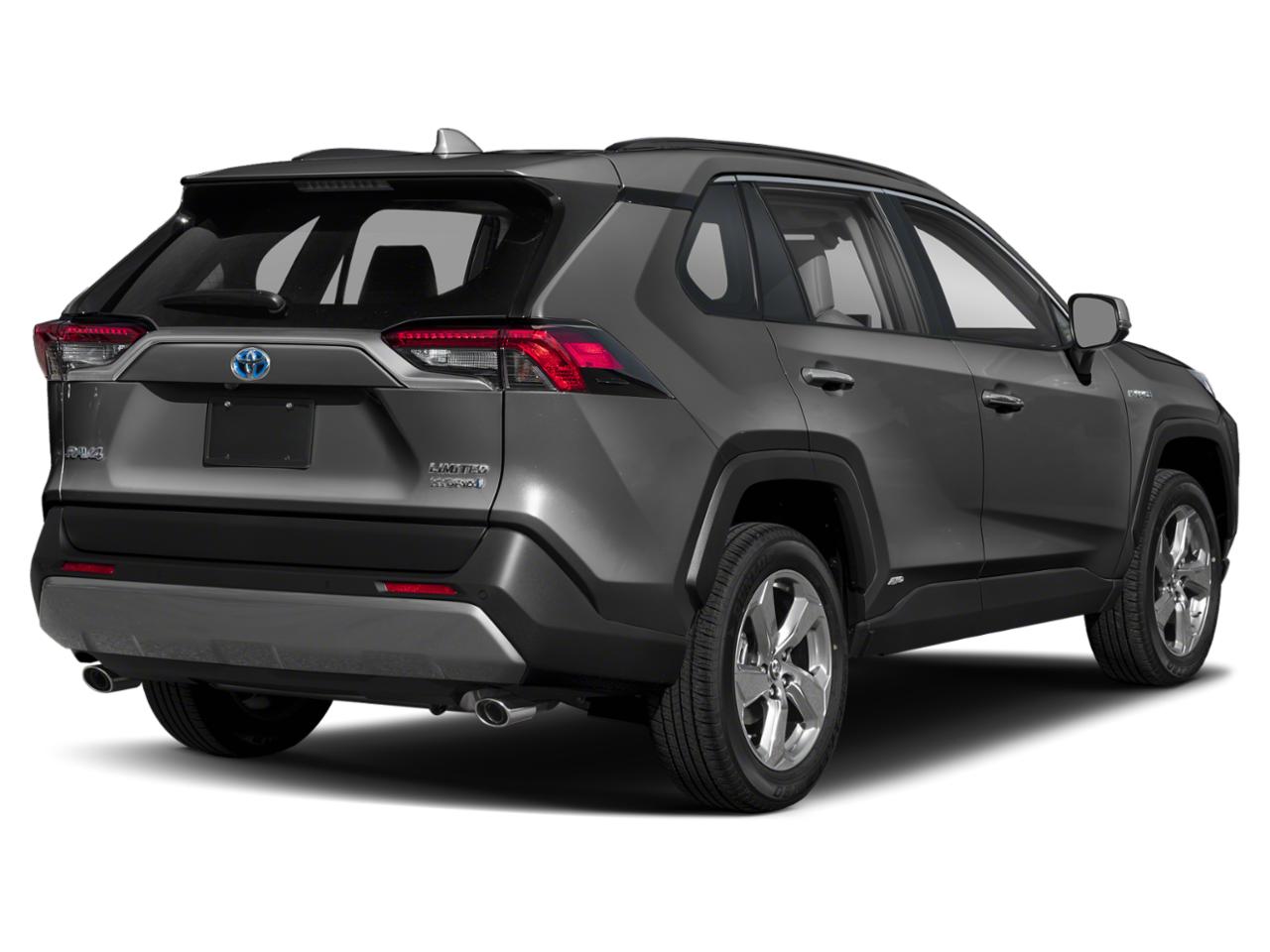 2019 Toyota RAV4 Vehicle Photo in Pinellas Park , FL 33781