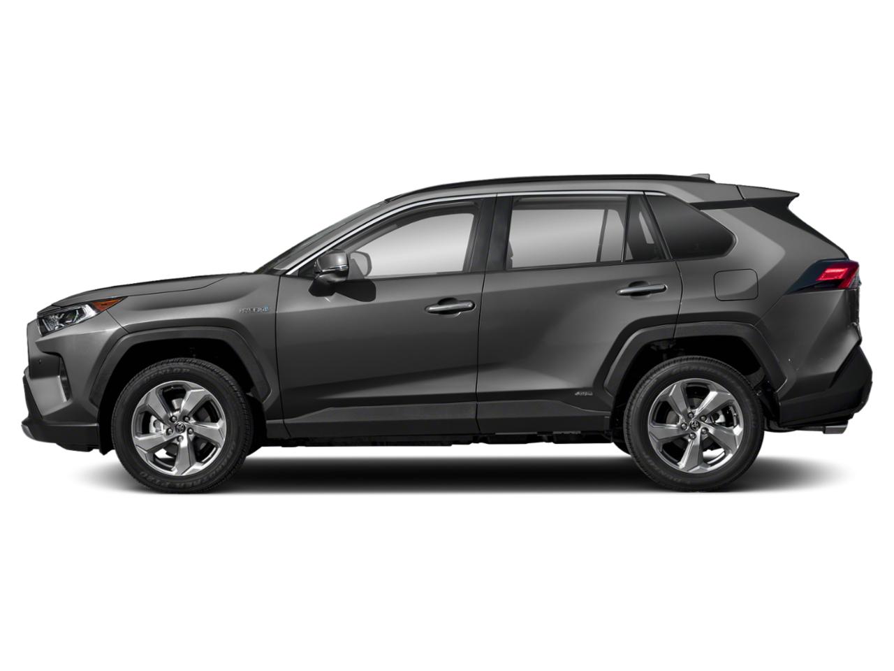 2019 Toyota RAV4 Vehicle Photo in Pinellas Park , FL 33781