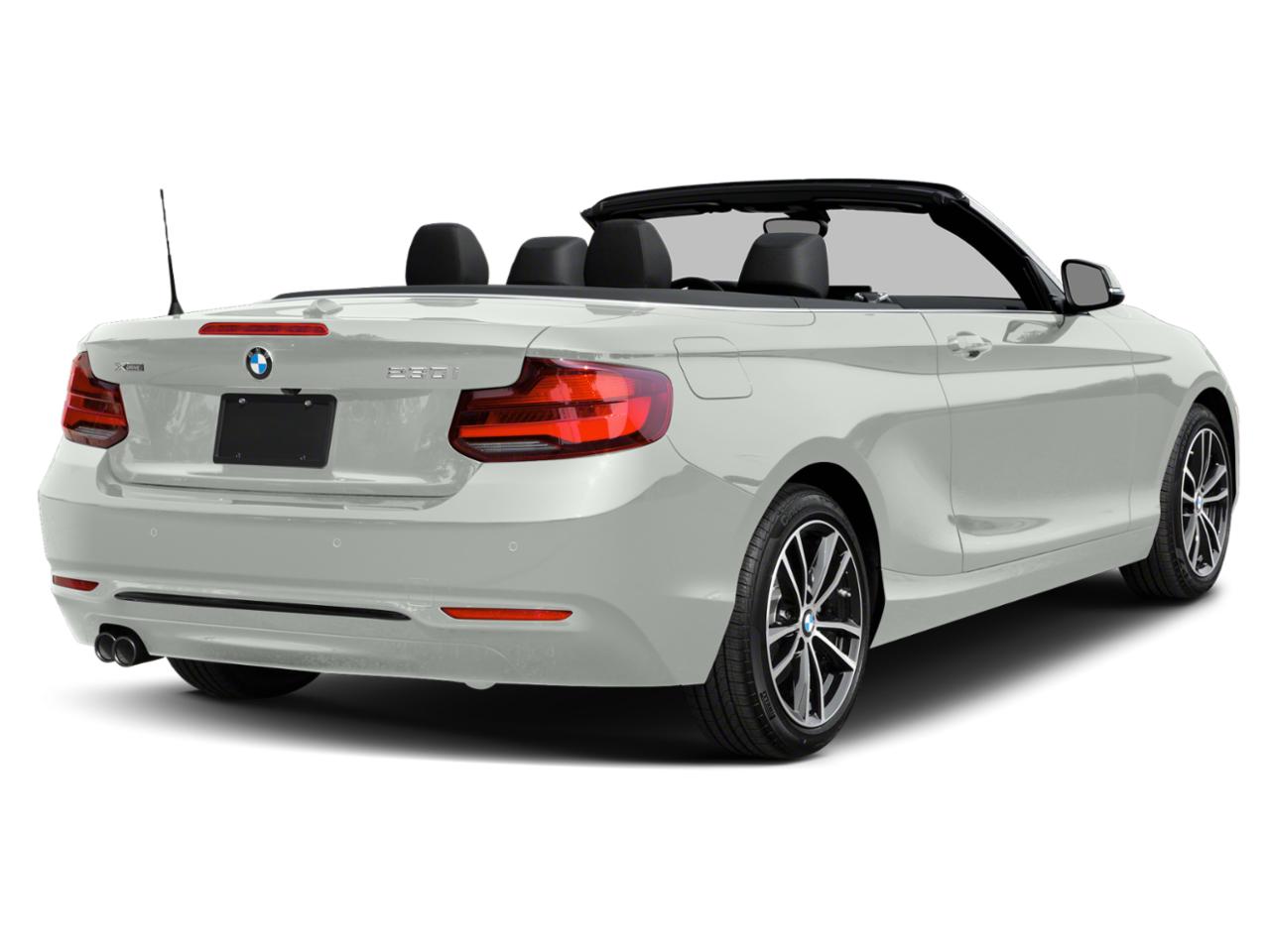 2020 BMW 230i Vehicle Photo in Delray Beach, FL 33444