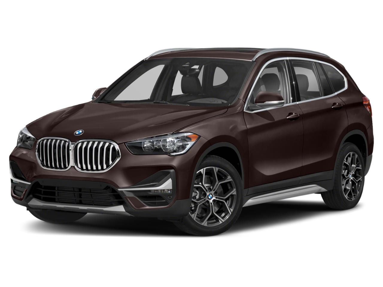 2020 BMW X1 xDrive28i Vehicle Photo in Miami, FL 33169