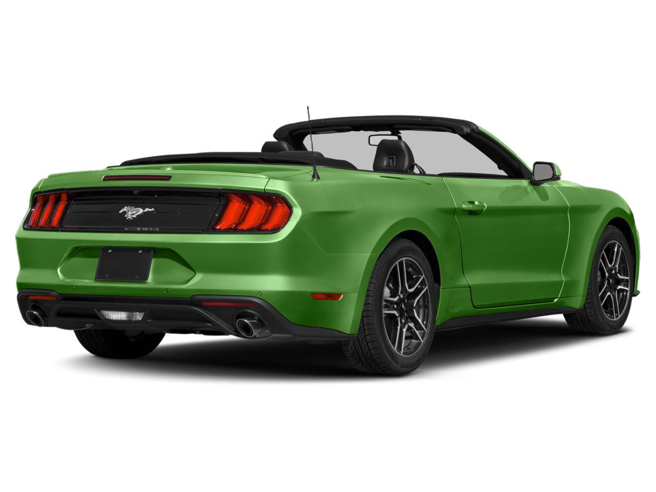 2020 Ford Mustang Vehicle Photo in Tampa, FL 33614