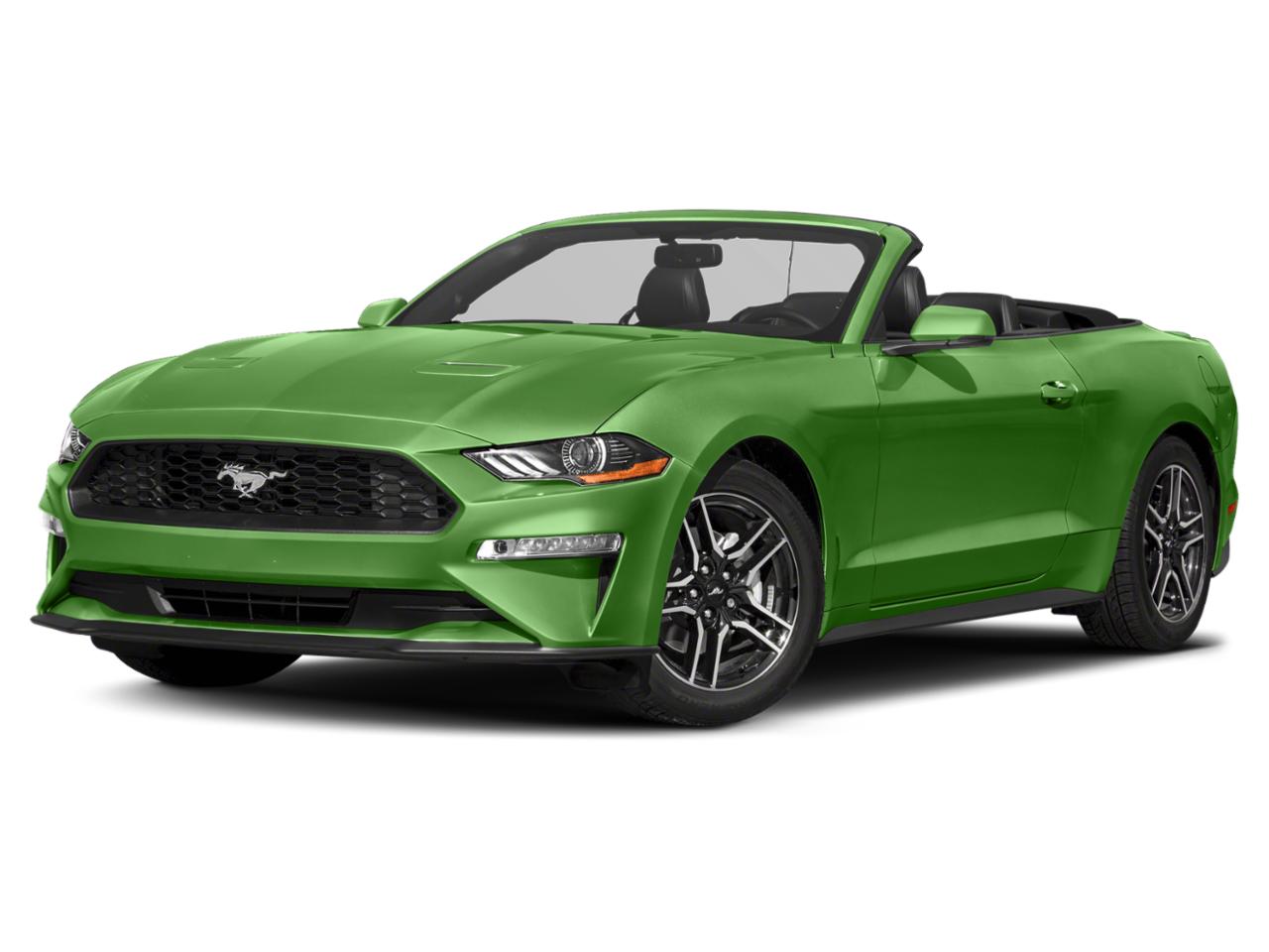 2020 Ford Mustang Vehicle Photo in Tampa, FL 33614