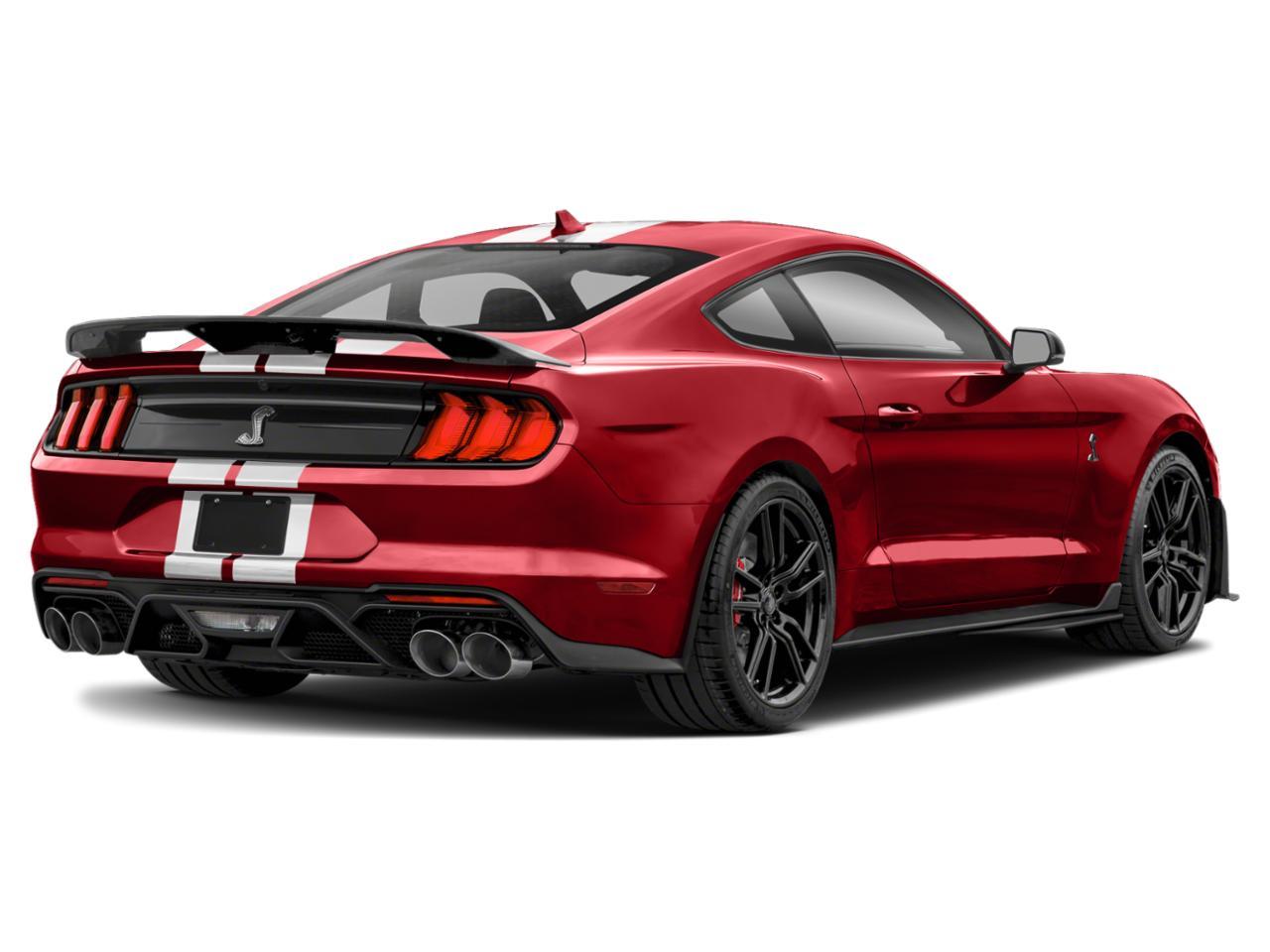 2020 Ford Mustang Vehicle Photo in St. Petersburg, FL 33713