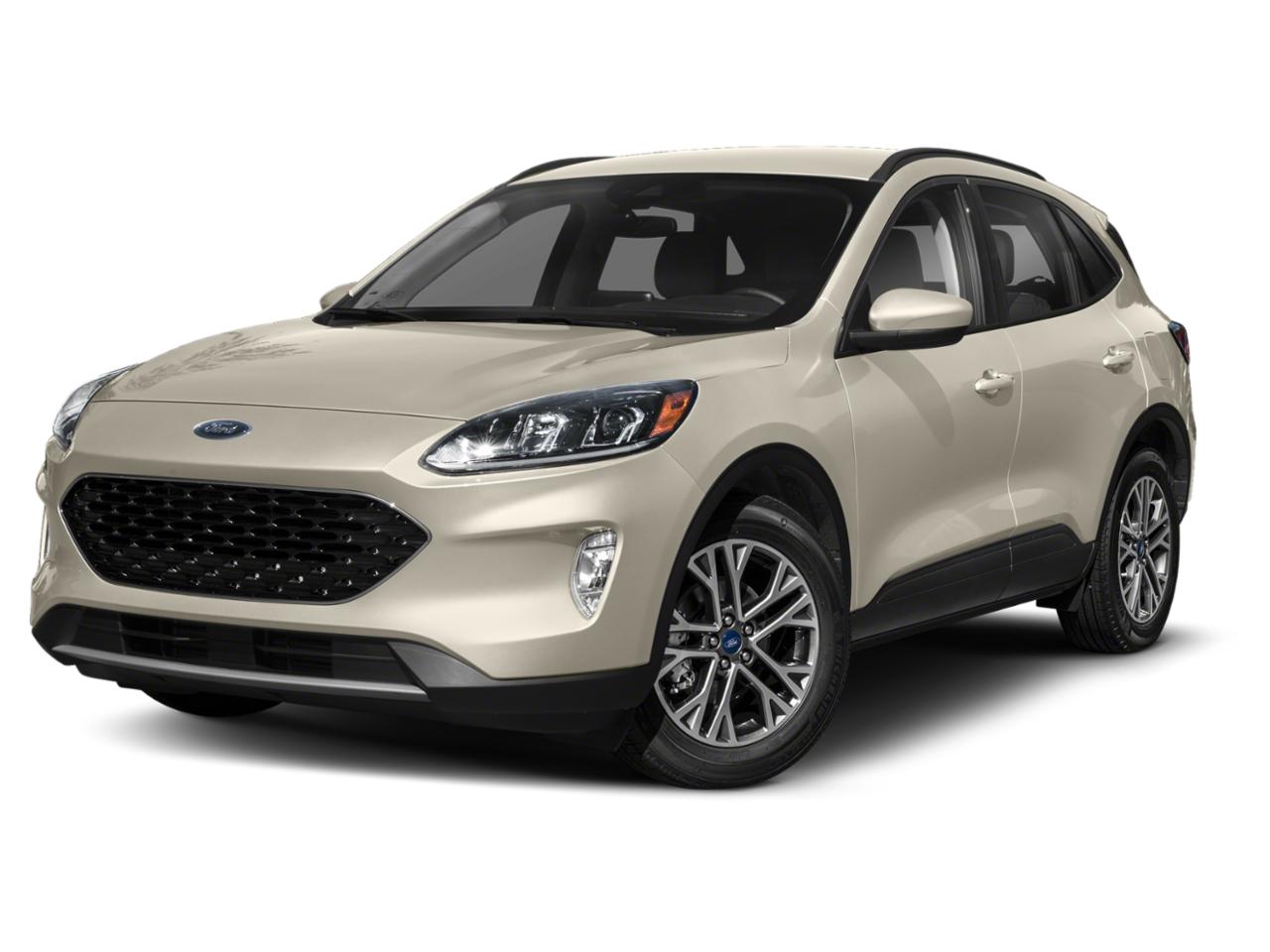 2020 Ford Escape Vehicle Photo in Bradenton, FL 34207