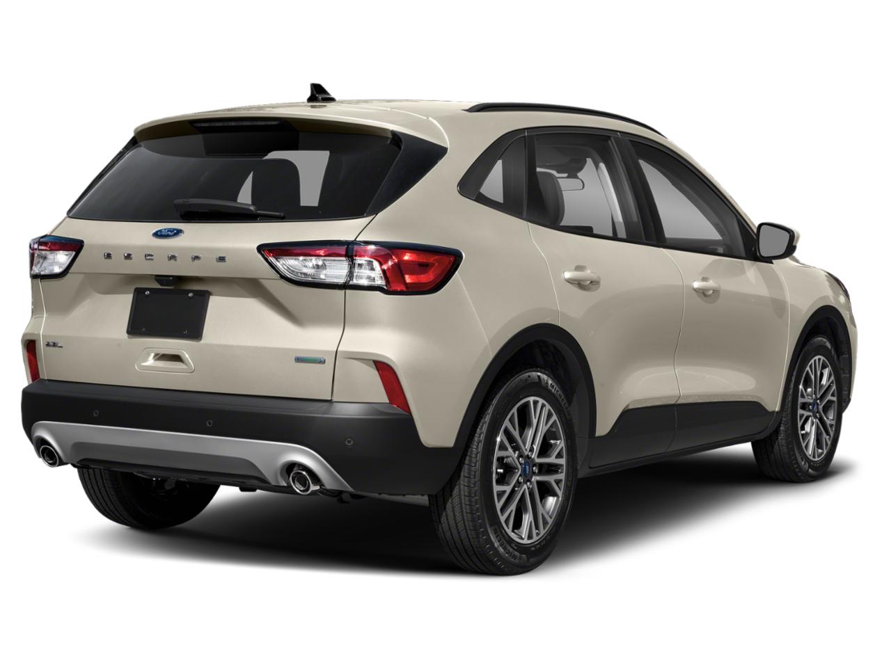 2020 Ford Escape Vehicle Photo in Bradenton, FL 34207