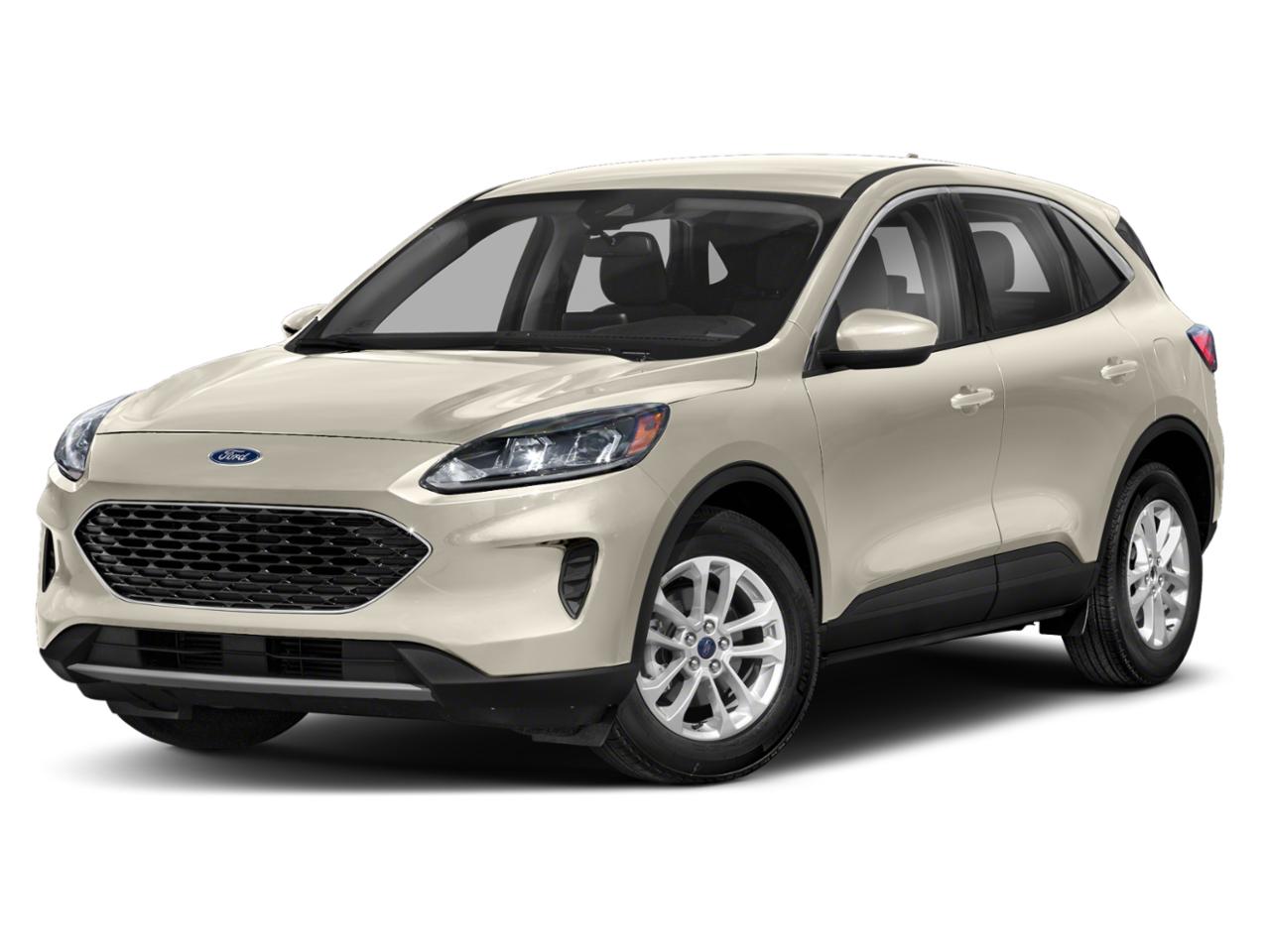 2020 Ford Escape Vehicle Photo in Green Bay, WI 54304
