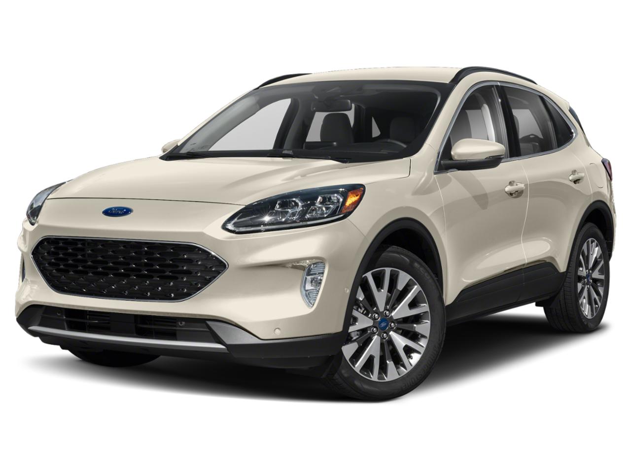 2020 Ford Escape Vehicle Photo in Bradenton, FL 34207