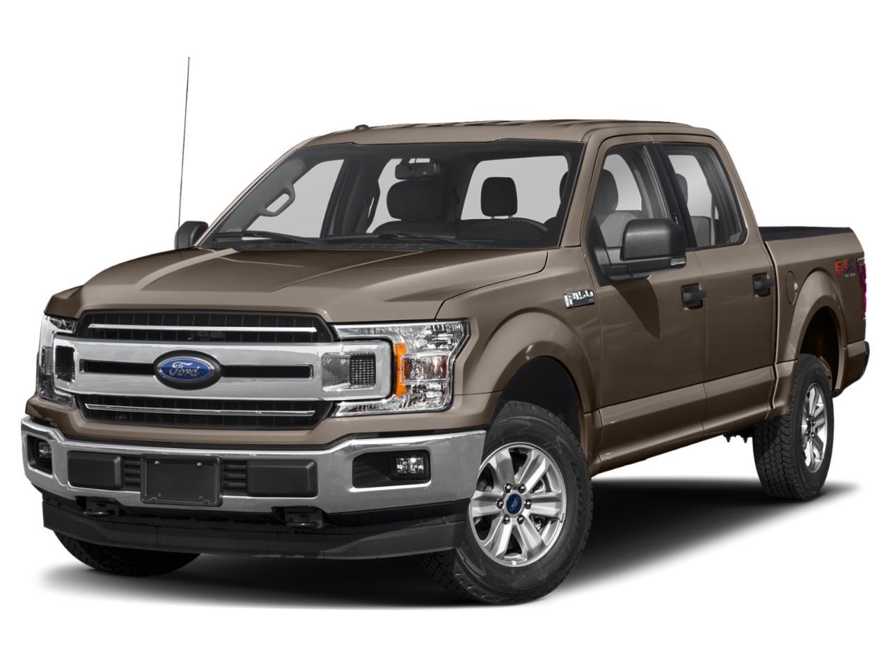 2020 Ford F-150 Vehicle Photo in Jacksonville, FL 32244