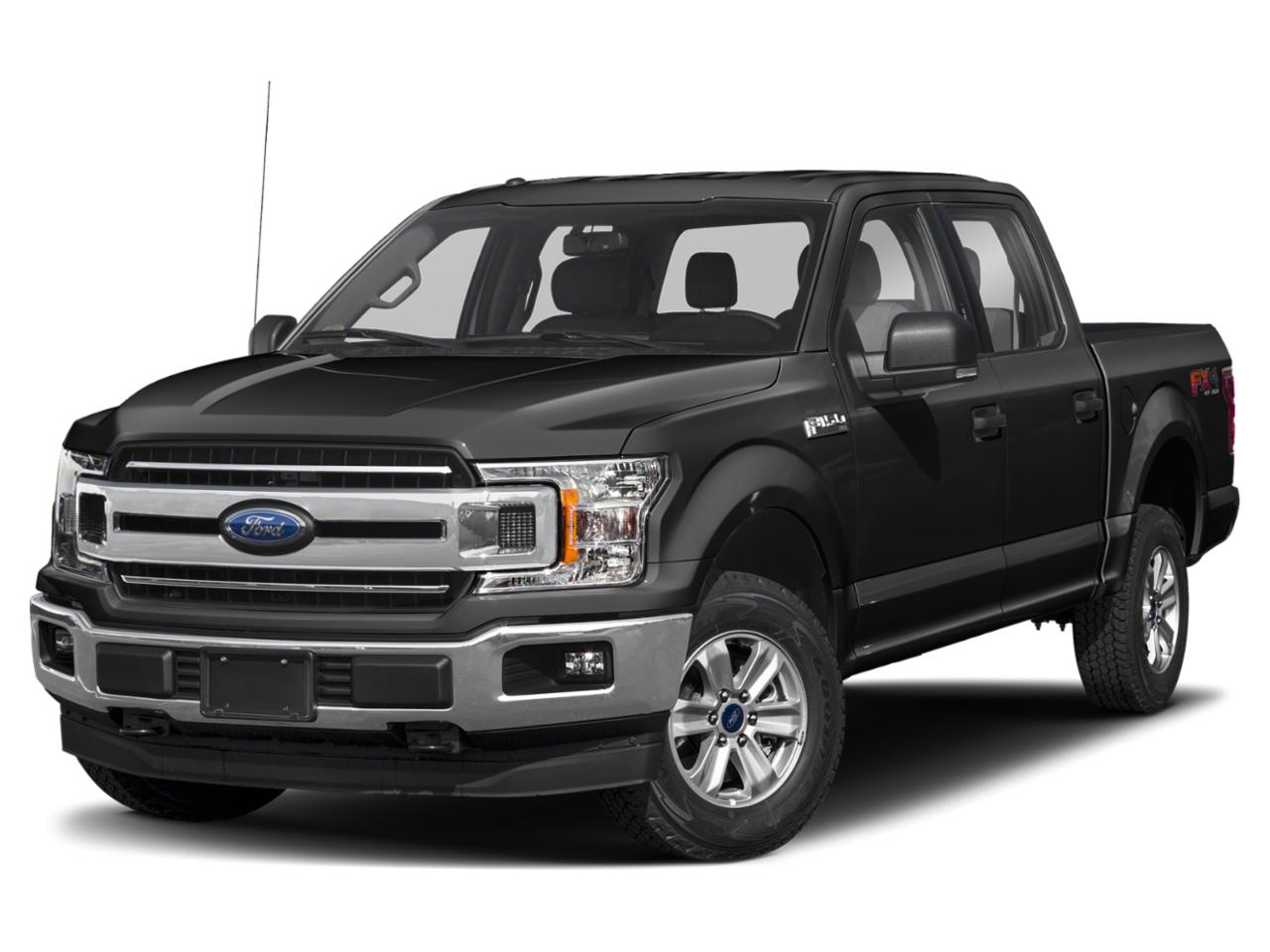 2020 Ford F-150 Vehicle Photo in Tampa, FL 33614