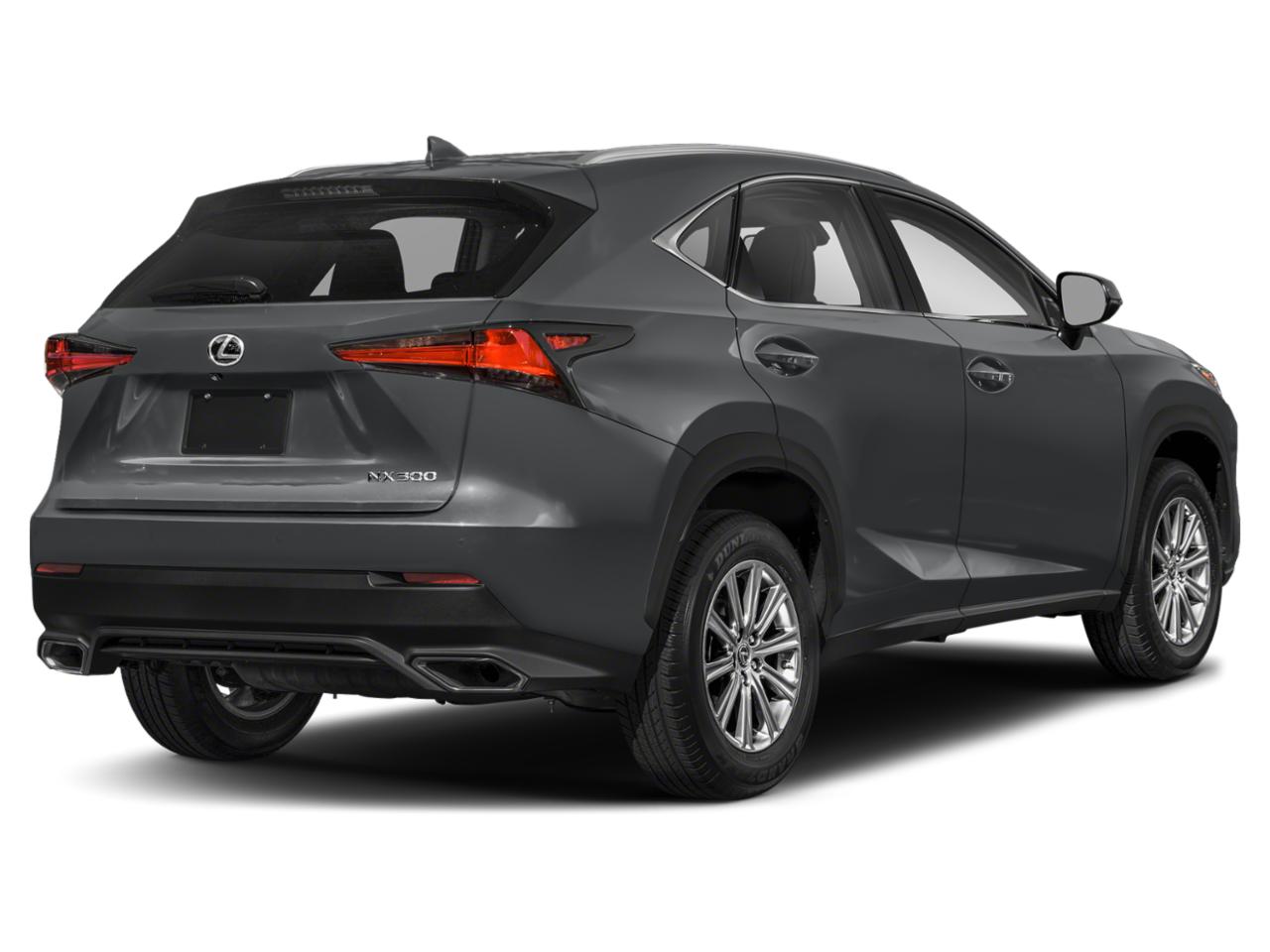 2020 Lexus NX 300 Vehicle Photo in West Palm Beach, FL 33417