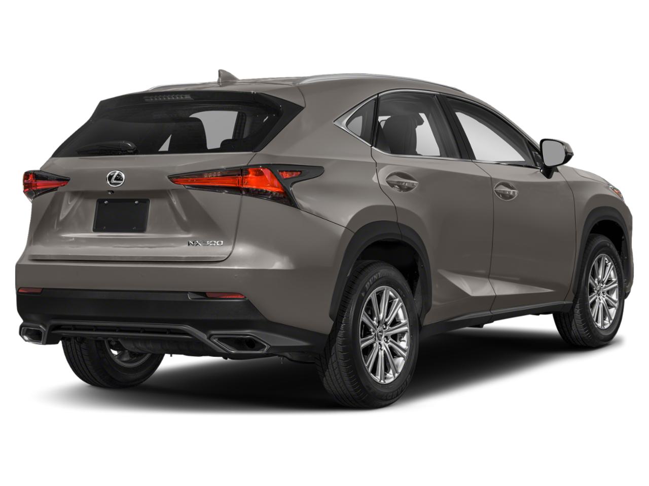 2020 Lexus NX 300 Vehicle Photo in Davie, FL 33331