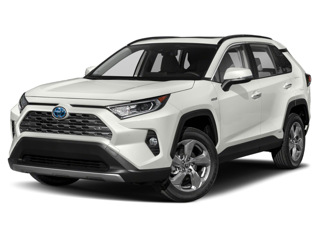 2020 Toyota RAV4 Vehicle Photo in Clearwater, FL 33761