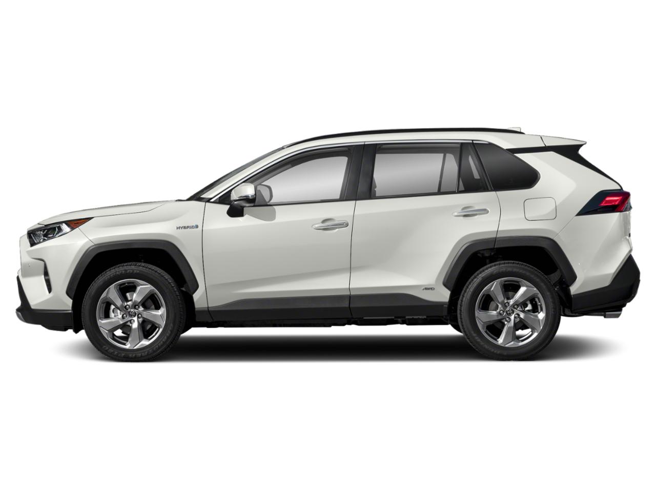 2020 Toyota RAV4 Vehicle Photo in Clearwater, FL 33761